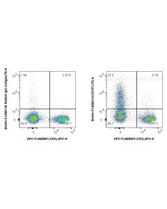 FcZero-rAb? Biotin Anti-Mouse CD157 Rabbit Recombinant Antibody Proteintech  Biotin-FcA98213