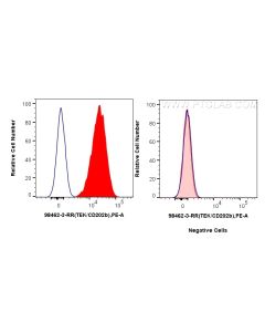 Anti-Human Tie-2/CD202b Rabbit Recombinant Antibody Proteintech  98462-3-RR
