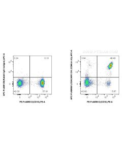FcZero-rAb? APC Anti-Human CEACAM1/3/6 (CD66a/c/d) Rabbit Recombinant Antibody Proteintech  APC-FcA98061