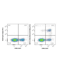 Anti-Human KIR2DL3/CD158b2 Rabbit Recombinant Antibody Proteintech  98373-3-RR