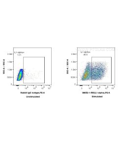 Anti-Mouse IL-1 alpha Rabbit Recombinant Antibody Proteintech  98052-1-RR