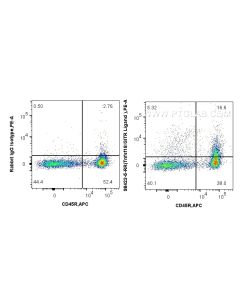 Anti-Mouse TNFSF18 Rabbit Recombinant Antibody Proteintech  98423-5-RR