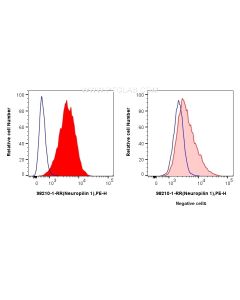 Anti-Human Neuropilin 1/CD304 Rabbit Recombinant Antibody Proteintech  98210-1-RR