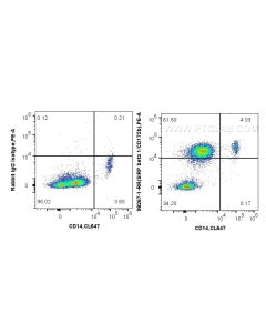 Anti-Human SIRP beta 1/CD172b Rabbit Recombinant Antibody Proteintech  98267-1-RR