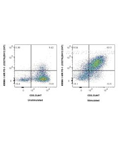 Anti-Human PD-1/CD279 (EH12.2H7) Mouse IgG2a Recombinant Antibody Proteintech  65586-1-MR