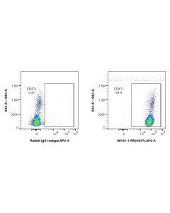 Anti-Human CD47 Rabbit Recombinant Antibody Proteintech  98131-1-RR