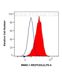 Anti-Human PKD2L2 Rabbit Recombinant Antibody Proteintech  98682-1-RR