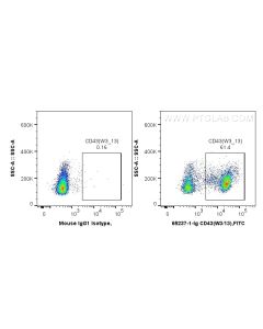 Anti-Rat CD43 (W3/13) Proteintech  65237-1-Ig