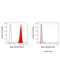 Anti-Human PROCR/EPCR/CD201 Rabbit Recombinant Antibody Proteintech  98325-1-RR