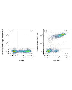 Anti-Mouse S100A9 Rabbit Recombinant Antibody Proteintech  98505-5-RR