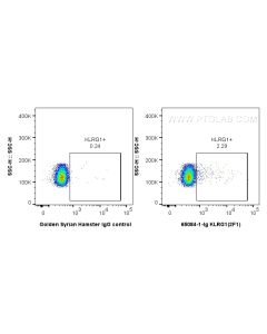 Anti-Mouse KLRG1 (2F1) Proteintech  65084-1-Ig