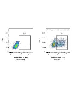 Anti-Mouse IL-6 Rabbit Recombinant Antibody Proteintech  98089-1-RR