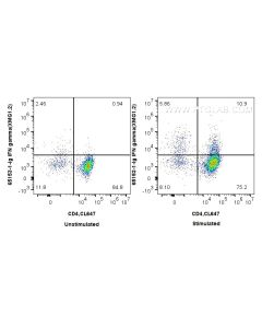 Anti-Mouse IFN-gamma (XMG1.2) Proteintech  65153-1-Ig