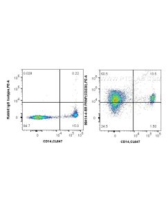 Anti-Human Prion protein PrP/CD230 Rabbit Recombinant Antibody Proteintech  98414-4-RR
