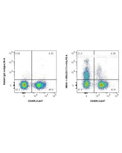 Anti-Mouse CD117/c-Kit Rabbit Recombinant Antibody Proteintech  98041-1-RR