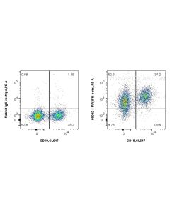 Anti-Mouse IFN-beta Rabbit Recombinant Antibody Proteintech  98082-1-RR