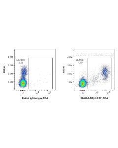 Anti-Human LILRB2/CD85d Rabbit Recombinant Antibody Proteintech  98488-3-RR