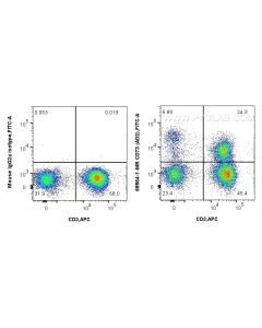 Anti-Human CD73 (AD2) Mouse IgG2a Recombinant Antibody Proteintech  65564-1-MR