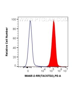 Anti-Human TACSTD2/TROP2 Rabbit Recombinant Antibody Proteintech  98465-2-RR