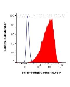 Anti-Mouse E-cadherin Rabbit Recombinant Antibody Proteintech  98140-1-RR