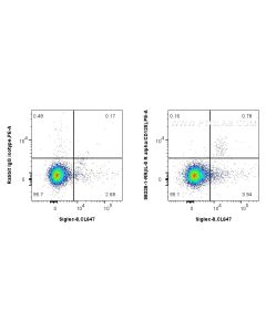 Anti-Human IL-5RA/CD125 Rabbit Recombinant Antibody Proteintech  98338-1-RR