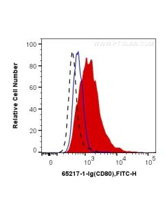 Anti-Rat CD80 (3H5) Proteintech  65217-1-Ig
