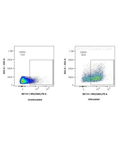 Anti-Mouse CD83 Rabbit Recombinant Antibody Proteintech  98119-1-RR