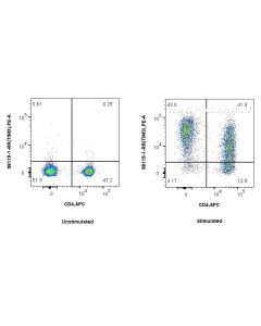 Anti-Human TIM3 Rabbit Recombinant Antibody Proteintech  98115-1-RR