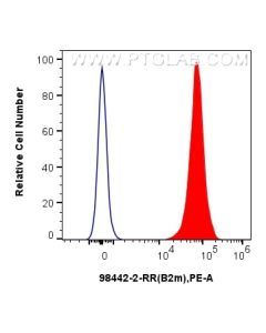 Anti-Mouse Beta-2-Microglobulin Rabbit Recombinant Antibody Proteintech  98442-2-RR
