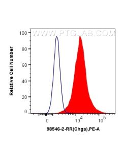 Anti-Mouse Chromogranin A Rabbit Recombinant Antibody Proteintech  98546-2-RR