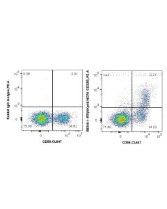 Anti-Human NKp46/NCR1 Rabbit Recombinant Antibody Proteintech  98340-1-RR