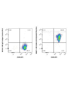 Anti-Human ICAM-2/CD102 Rabbit Recombinant Antibody Proteintech  98367-1-RR