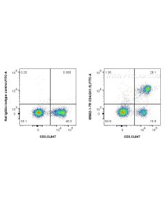 Anti-Mouse CD4 (GK1.5) Rat IgG2a Recombinant Antibody Proteintech  65662-1-TR