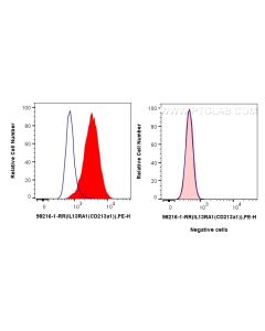 Anti-Human IL-13Ra1/CD213a1 Rabbit Recombinant Antibody Proteintech  98216-1-RR