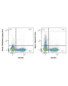 Anti-Mouse CD157 Rabbit Recombinant Antibody Proteintech  98213-1-RR