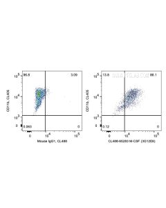 Anti-Human M-CSF (3G12E6) Proteintech  65283-1-Ig