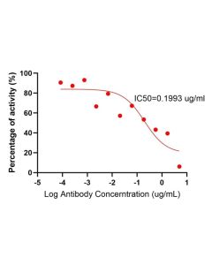 Anti-Mouse PD-1/CD279 (RMP1-14) Rat IgG2a Recombinant Antibody Proteintech  65684-1-TR