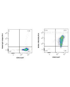 Anti-Human Integrin Beta 1/CD29 Rabbit Recombinant Antibody Proteintech  98188-1-RR