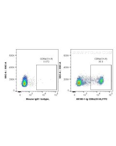 Anti-Rat CD8a (OX-8) Proteintech  65180-1-Ig