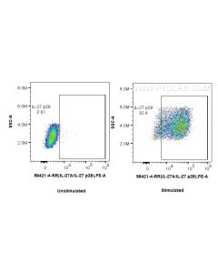 Anti-Mouse IL-27 p28 Rabbit Recombinant Antibody Proteintech  98421-4-RR