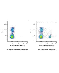 FcZero-rAb? APC Anti-Biotin Rabbit Recombinant Antibody Proteintech  APC-FcA98598