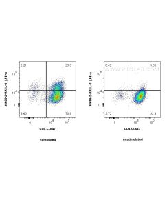 Anti-Mouse IL-31 Rabbit Recombinant Antibody Proteintech  98655-2-RR