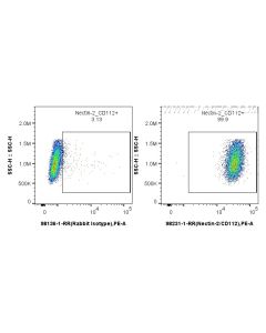 Anti-Mouse Nectin-2/CD112 Rabbit Recombinant Antibody Proteintech  98231-1-RR