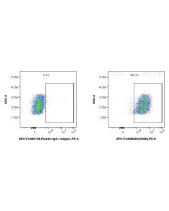 FcZero-rAb? APC Anti-Mouse CD68 Rabbit Recombinant Antibody Proteintech  APC-FcA98029