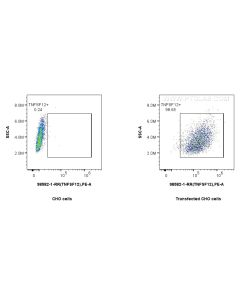 Anti-Human TNFSF12 Rabbit Recombinant Antibody Proteintech  98582-1-RR