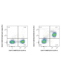 FcZero-rAb? Biotin Anti-Mouse CSF2RA/CD116 Rabbit Recombinant Antibody Proteintech  Biotin-FcA98196