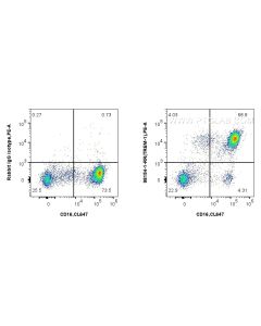 Anti-Human TREM-1/CD354 Rabbit Recombinant Antibody Proteintech  98154-1-RR