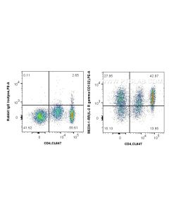 Anti-Human IL-2RG/CD132 Rabbit Recombinant Antibody Proteintech  98234-1-RR