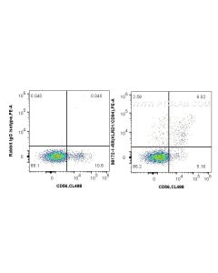 Anti-Human CD94 Rabbit Recombinant Antibody Proteintech  98172-1-RR