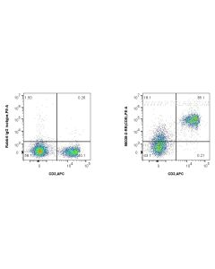 Anti-Mouse CD5 Rabbit Recombinant Antibody Proteintech  98038-2-RR